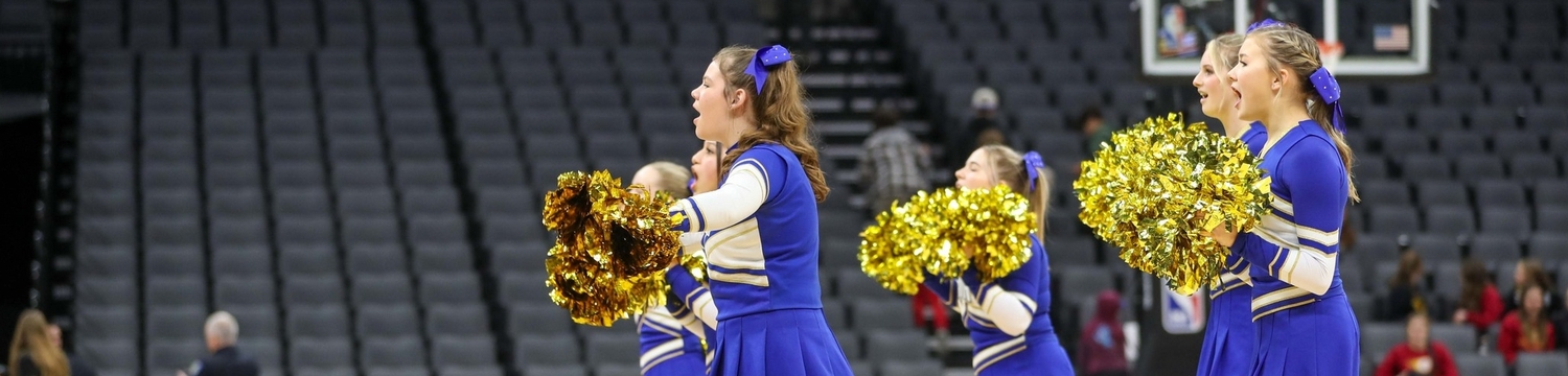 cheer poms